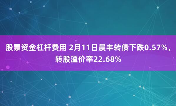 股票资金杠杆费用 2月11日晨丰转债下跌0.57%，转股溢价率22.68%