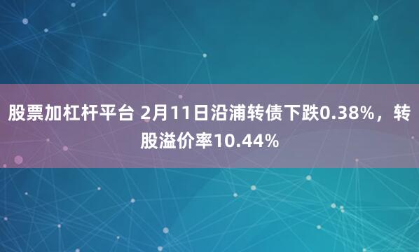 股票加杠杆平台 2月11日沿浦转债下跌0.38%，转股溢价率10.44%