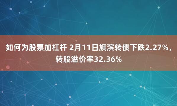 如何为股票加杠杆 2月11日旗滨转债下跌2.27%，转股溢价率32.36%