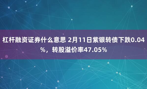 杠杆融资证券什么意思 2月11日紫银转债下跌0.04%，转股溢价率47.05%