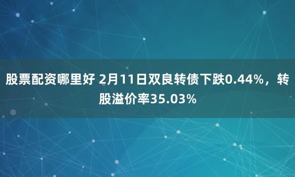 股票配资哪里好 2月11日双良转债下跌0.44%，转股溢价率35.03%