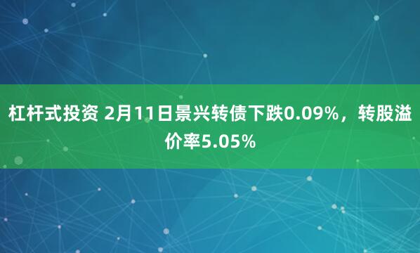 杠杆式投资 2月11日景兴转债下跌0.09%，转股溢价率5.05%