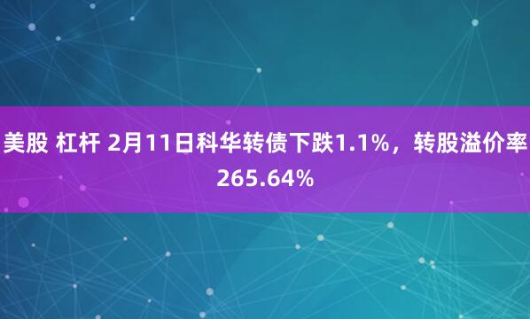 美股 杠杆 2月11日科华转债下跌1.1%，转股溢价率265.64%