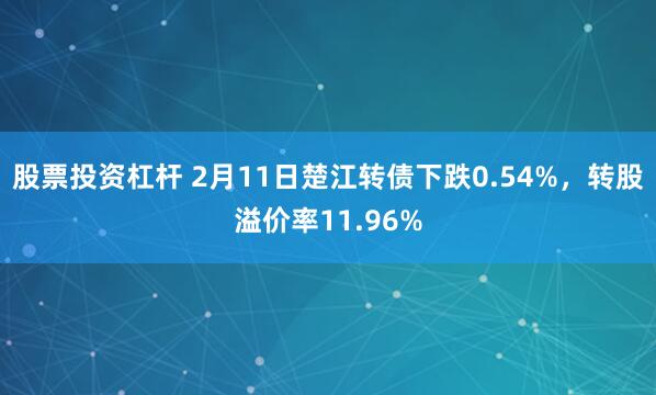 股票投资杠杆 2月11日楚江转债下跌0.54%，转股溢价率11.96%