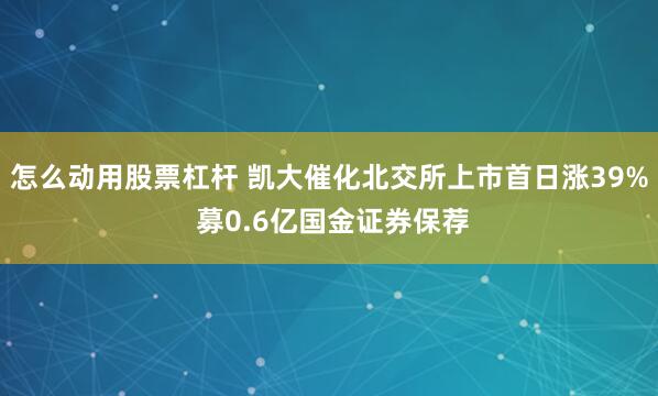 怎么动用股票杠杆 凯大催化北交所上市首日涨39% 募0.6亿国金证券保荐