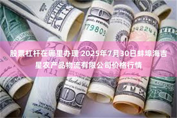 股票杠杆在哪里办理 2025年7月30日蚌埠海吉星农产品物流