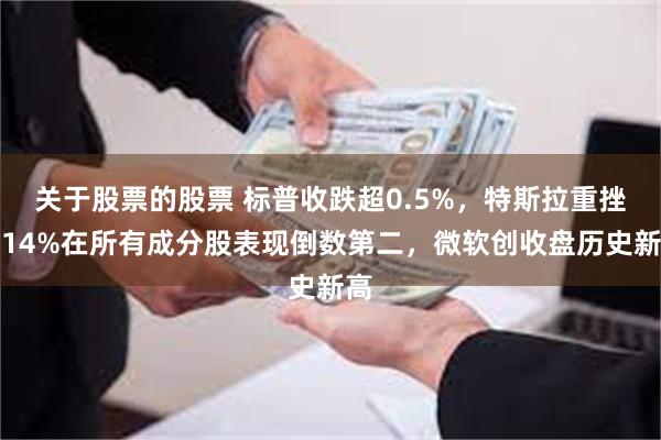 关于股票的股票 标普收跌超0.5%，特斯拉重挫超14%在所有成分股表现倒数第二，微软创收盘历史新高
