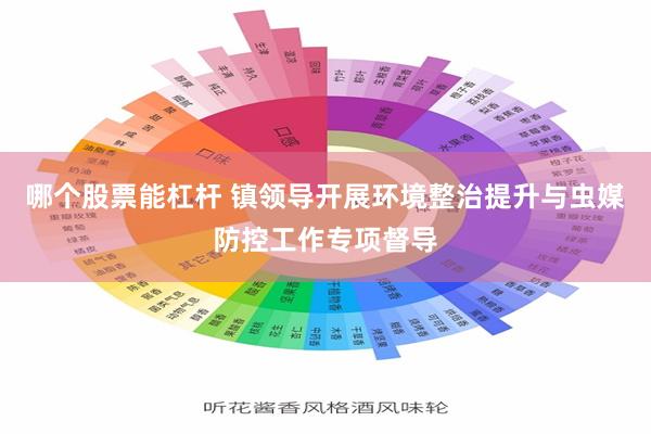 哪个股票能杠杆 镇领导开展环境整治提升与虫媒防控工作专项督导